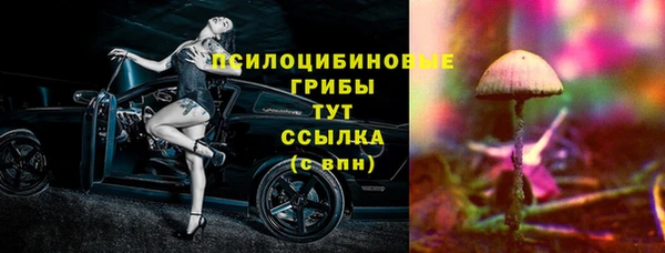 эйфоретик Бутурлиновка