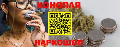 прущие грибы Новодвинск