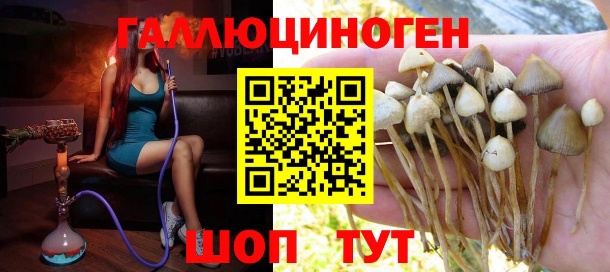 Дагестанские Огни  Галлюциногенные грибы ЛСД  купить  цена  Вход с VPN 