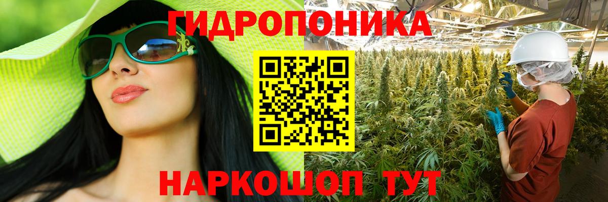 Канабис марихуана Дагестанские Огни